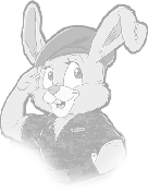 Commander Bunny Picture